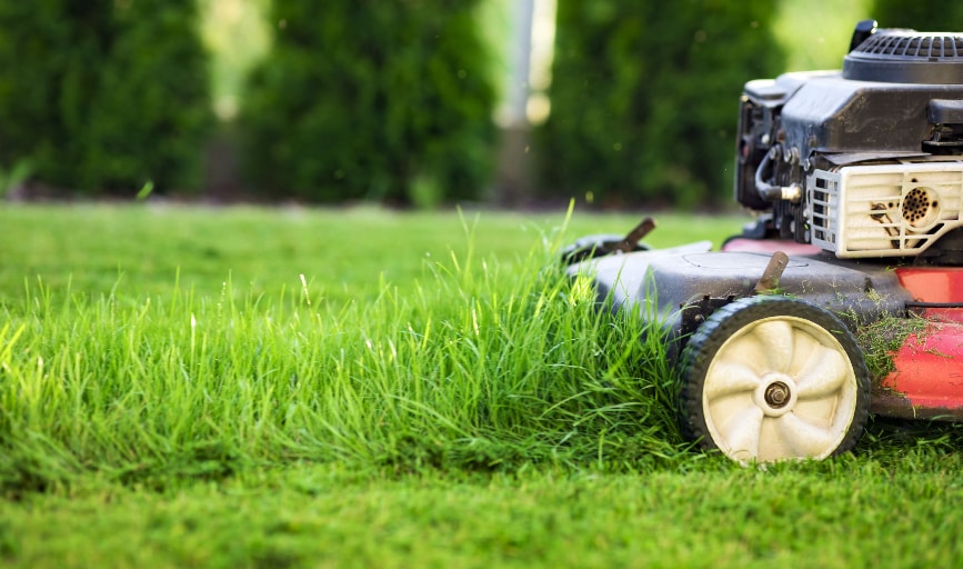 DHB Lawn & Landscapes 